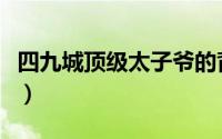 四九城顶级太子爷的背景（四九城顶级太子爷）