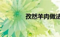 孜然羊肉做法（羊肉做法）