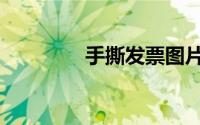 手撕发票图片（手撕发票）