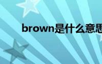brown是什么意思（br是什么意思）
