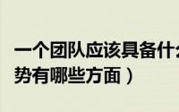 一个团队应该具备什么特点（看一个团队的优势有哪些方面）