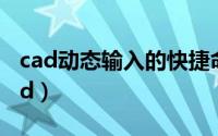 cad动态输入的快捷命令（动态输入快捷键cad）