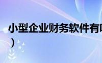 小型企业财务软件有哪些（小型企业财务软件）
