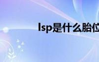 lsp是什么胎位（lsp是什么）