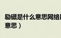 励磁是什么意思网络用语怎么说（励磁是什么意思）