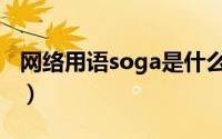 网络用语soga是什么意思（soga是什么意思）