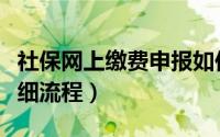 社保网上缴费申报如何操作（社保网上申报详细流程）