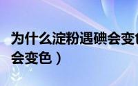 为什么淀粉遇碘会变色（为什么淀粉碰到碘酒会变色）