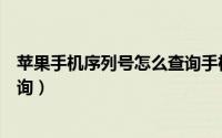 苹果手机序列号怎么查询手机信息（苹果手机序列号怎么查询）