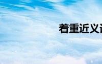 着重近义词（着重）