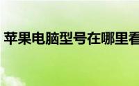 苹果电脑型号在哪里看（电脑型号在哪里看）