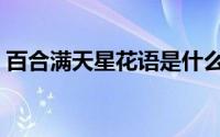 百合满天星花语是什么（满天星花语是什么）