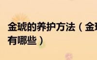金琥的养护方法（金琥的养殖方法和注意事项有哪些）