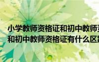 小学教师资格证和初中教师资格证哪个好（小学教师资格证和初中教师资格证有什么区别）