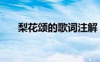 梨花颂的歌词注解（梨花颂歌词全文）