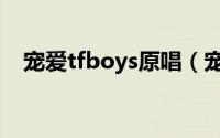 宠爱tfboys原唱（宠爱歌词tfboys歌词）