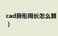 cad异形周长怎么算（cad异型面积怎么测量）