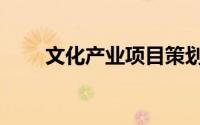 文化产业项目策划（文化产业项目）