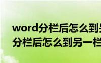 word分栏后怎么到另一栏输入内容（word分栏后怎么到另一栏）