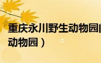 重庆永川野生动物园门票官网（重庆永川野生动物园）