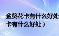 金葵花卡有什么好处 贵宾登机 家人（金葵花卡有什么好处）
