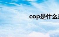 cop是什么意思（cop）