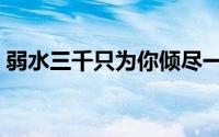 弱水三千只为你倾尽一生（弱水三千只为你）