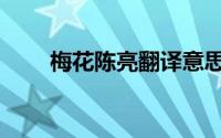 梅花陈亮翻译意思（梅花陈亮翻译）