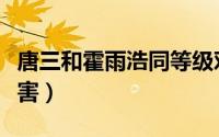 唐三和霍雨浩同等级对比（唐三和霍雨浩谁厉害）