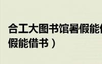 合工大图书馆暑假能借书嘛（合工大图书馆暑假能借书）