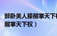 醉卧美人膝醒掌天下权全文阅读（醉卧美人膝醒掌天下权）