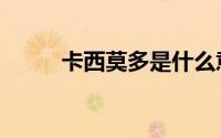 卡西莫多是什么意思（卡西莫多）