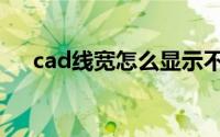 cad线宽怎么显示不出来呢（cad线宽）