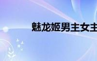 魅龙姬男主女主是谁（魅龙姬）