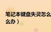 笔记本键盘失灵怎么办?（笔记本键盘失灵怎么办）