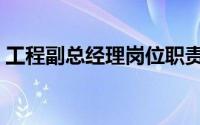 工程副总经理岗位职责（副总经理岗位职责）