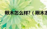 楸木怎么样?（楸木家具的优缺点是什么）