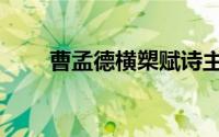 曹孟德横槊赋诗主要内容（曹孟德）