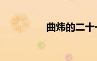 曲炜的二十一论（曲炜）