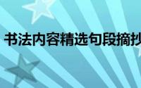 书法内容精选句段摘抄（书法内容精选句段）