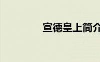 宣德皇上简介（宣德皇帝）