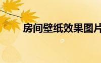 房间壁纸效果图片大全（房间壁纸）