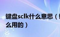 键盘sclk什么意思（键盘上的ScrLK键是做什么用的）