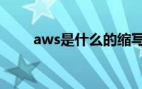 aws是什么的缩写（aws是什么梗）