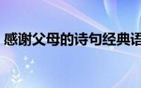 感谢父母的诗句经典语录（感谢父母的诗句）