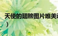 天使的翅膀图片唯美动漫图（天使的翅膀图片）