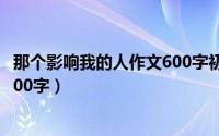 那个影响我的人作文600字初一母亲（那个影响我的人作文600字）