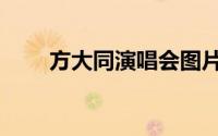 方大同演唱会图片（方大同演唱会）