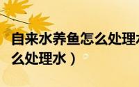 自来水养鱼怎么处理水中氯气（自来水养鱼怎么处理水）