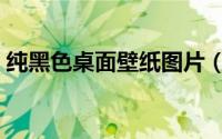 纯黑色桌面壁纸图片（纯黑色电脑桌面壁纸）